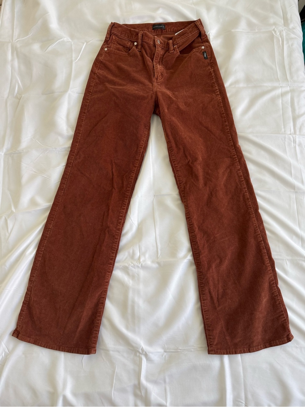 Silver Jeans Wide-Leg Corduroy Pants in Rust Brown